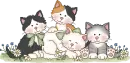 cute kittens