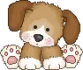 cute puppy