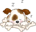 sleeping puppy