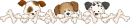 puppies