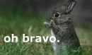 bravo!