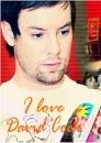 David Cook