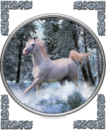 horse