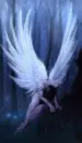 angel in woods