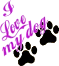 I Love my Dog