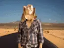 hat