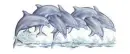 Dolpfins