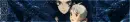 howl's moving castle