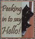 Peeking in to say Hello!!