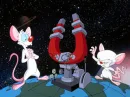 try to take over the world!!!!