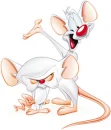 narf!!