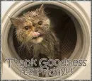 TGIF Thank Goodness it's Friday!