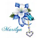 Marilyn