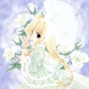 White Roses
