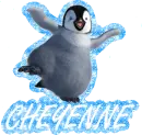 Happy Feet Cheyenne