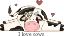 i love cows