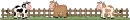 funny cows