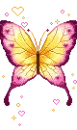 cute butterfly