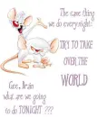 pinky and the brain
