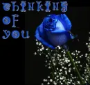 Thinking of You