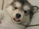 awwww....