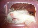 zzzz....