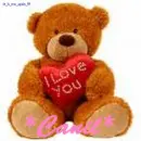 4 my fwend,canil