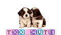dog blinkie