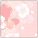 white & pink flowers