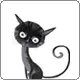 black cat