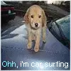 car surfing