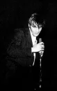 elvis