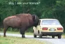 Lol