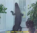 Alligator