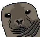 Seal