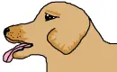 Doggy