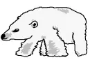 Polarbear