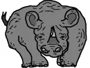 Rhinoceros