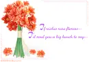 greeting