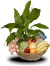 Fruit Basket