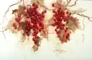 Grape Vines