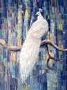 White peacock
