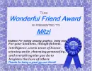 Mitzi award
