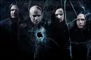 Disturbed