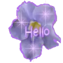 Hello