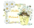 Hello Friend