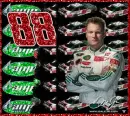 dale jr
