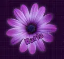 purple flower~Darla