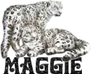 maggie