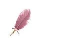 Feather Pen Rose - Rizwana